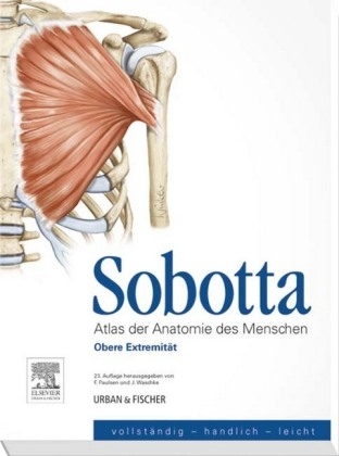 Sobotta, Atlas der Anatomie des Menschen Heft 2 - Friedrich Paulsen, Jens Waschke