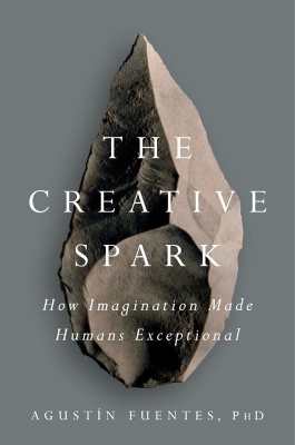 The Creative Spark - Agustin Fuentes