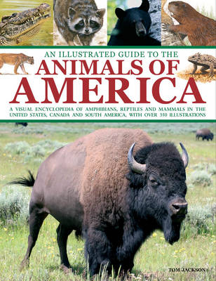 An Illustrated Guide to the Animals of America - Tom Jackson