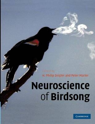 Neuroscience of Birdsong - 