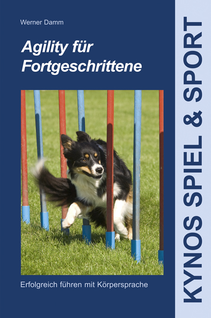 Agility für Fortgeschrittene - Werner Damm