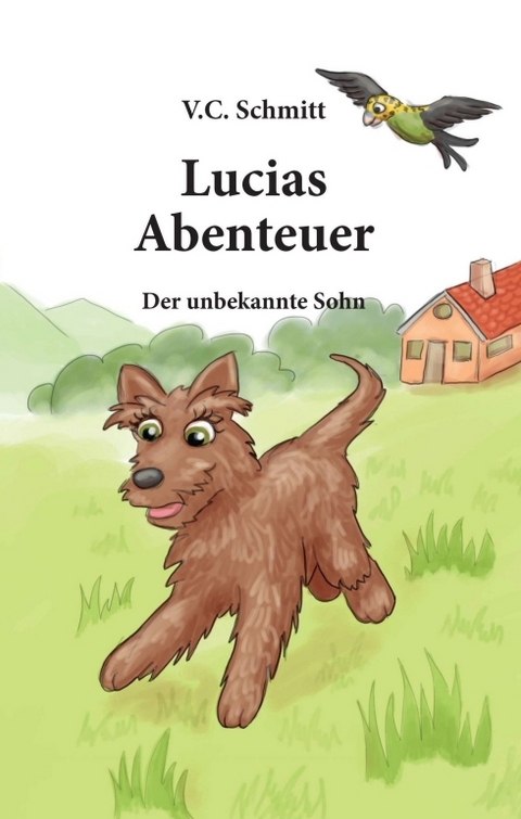 Lucias Abenteuer - V. C. Schmitt
