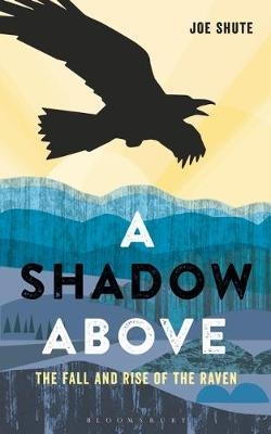 A Shadow Above - Joe Shute