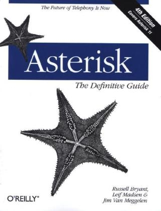 Asterisk: The Definitive Guide - Leif Madsen, Jim Van Meggelen, Russell Bryant