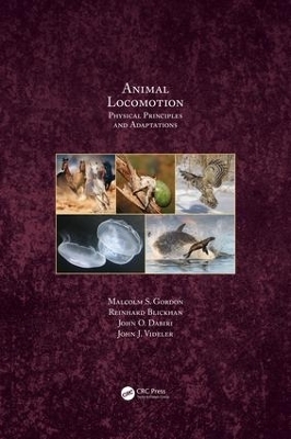 Animal Locomotion - Malcolm S. Gordon, Reinhard Blickhan, John O. Dabiri, John J. Videler