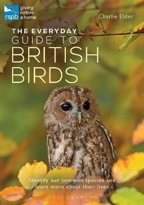 The Everyday Guide to British Birds - Charlie Elder