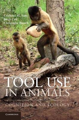 Tool Use in Animals - 