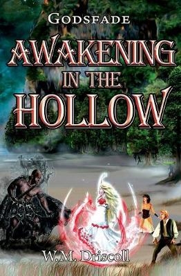Awakening in the Hollow - W M Driscoll