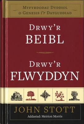 Drwy'r Beibl Drwy'r Flwyddyn - John Stott