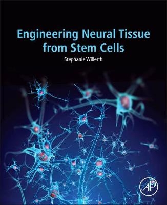 Engineering Neural Tissue from Stem Cells - Stephanie Willerth