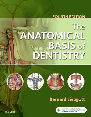 The Anatomical Basis of Dentistry - Bernard Liebgott