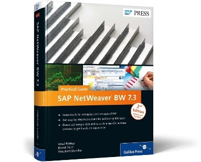 SAP Netweaver BW 7.3 - Practical Guide - Amol Palekar, Bharat Patel, Shreekant Shiralkar