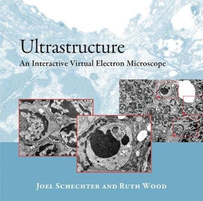 Ultrastructure - Joel E. Schechter, Ruth I. Wood