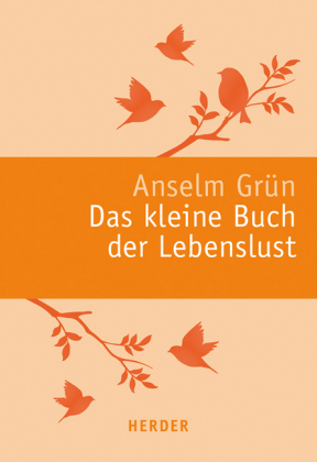 Das kleine Buch der Lebenslust - Anselm Grün