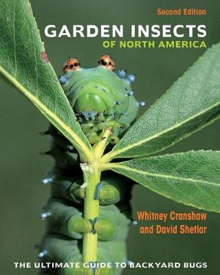 Garden Insects of North America - Whitney Cranshaw, David Shetlar