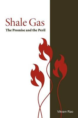Shale Gas - Vikram Rao