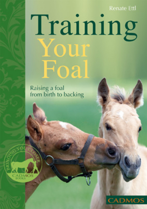 Training Your Foal