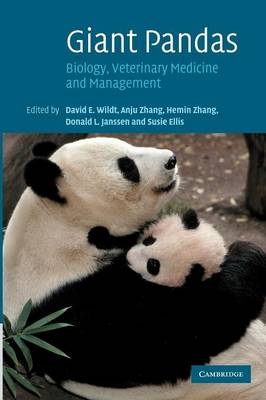 Giant Pandas - 