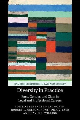 Diversity in Practice - 