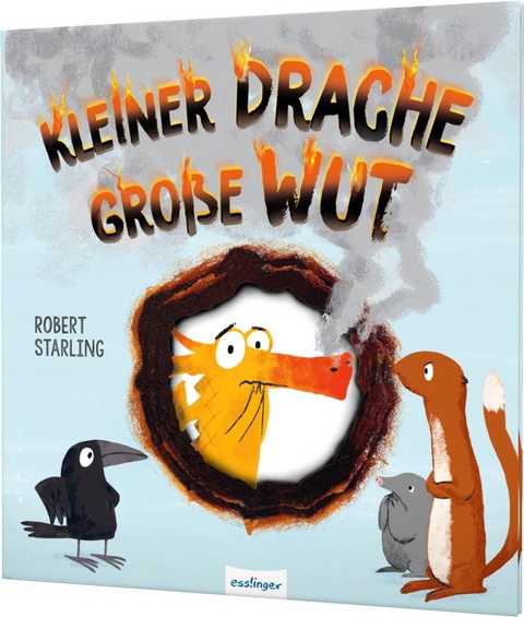 Kleiner Drache Finn: Kleiner Drache – große Wut - Robert Starling