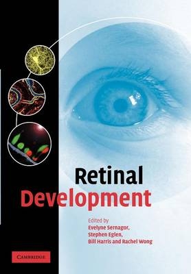 Retinal Development - 