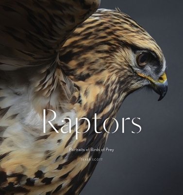 Raptors - 