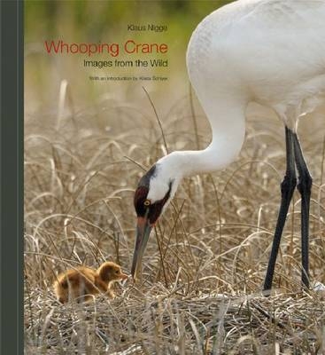 Whooping Crane - Klaus Nigge