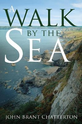 A Walk by the Sea - John Brant Chatterton