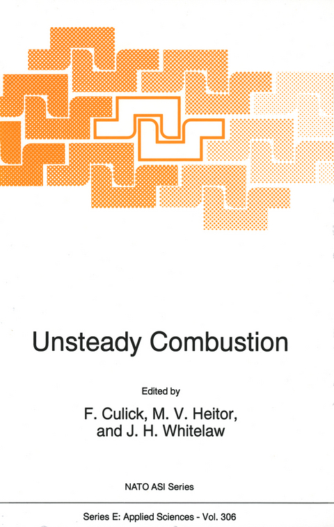 Unsteady Combustion - 