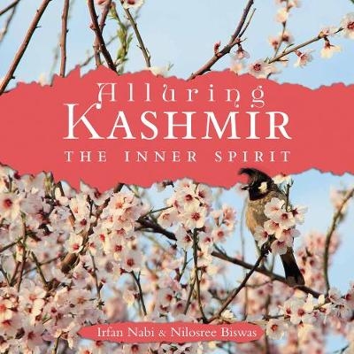 Alluring Kashmir - Nilosree Biswas, Irfan Nabi