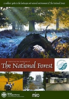 Exploring the Landscape of The National Forest -  British Geological Survey