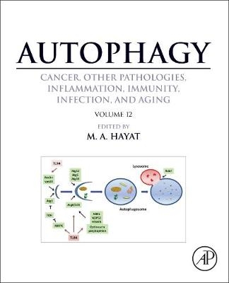 Autophagy: Cancer, Other Pathologies, Inflammation, Immunity, Infection, and Aging - 