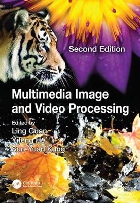 Multimedia Image and Video Processing - 