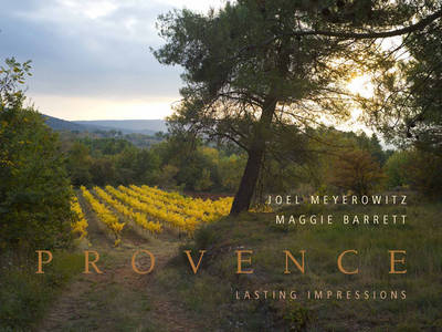 Provence - Maggie Barrett