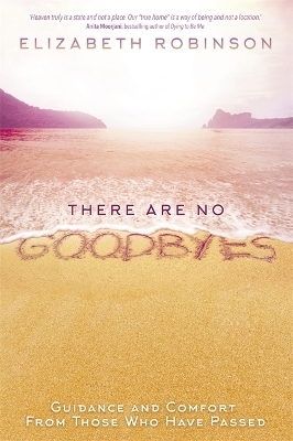 There Are No Goodbyes - Elizabeth Robinson