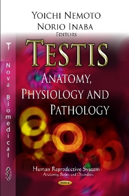 Testis - 