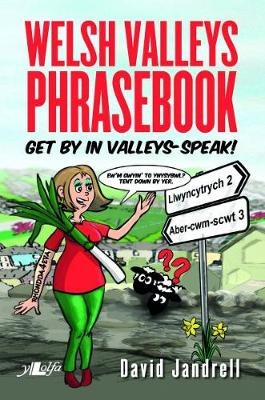 Welsh Valleys Phrasebook - Get by in Valleys-Speak! (Counterpacks) - David Jandrell