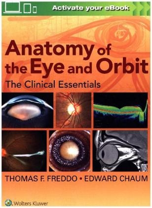 Anatomy of the Eye and Orbit - Thomas F Freddo, Edward Chaum