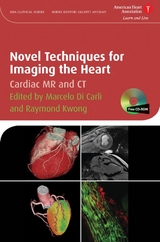 Novel Techniques for Imaging the Heart - 