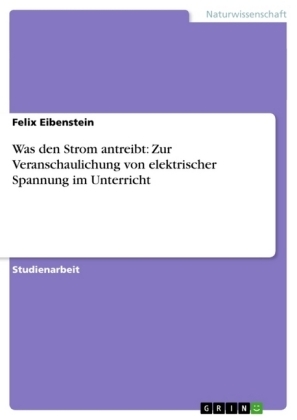 Was den Strom antreibt: Zur Veranschaulichung von elektrischer Spannung im Unterricht - Felix Eibenstein