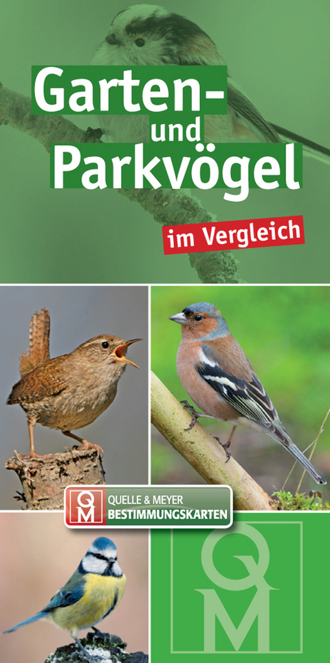 Garten- und Parkvögel im Vergleich