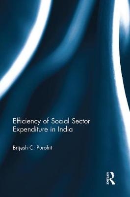 Efficiency of Social Sector Expenditure in India - Brijesh Purohit
