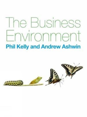 The Business Environment - Phil Kelly, Andrew Ashwin