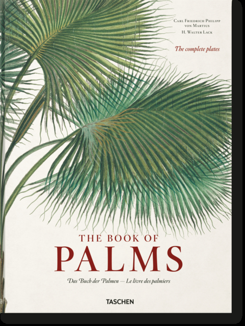 Martius. The Book of Palms - H. Walter Lack