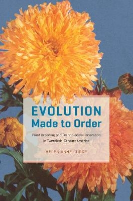 Evolution Made to Order - Helen Anne Curry