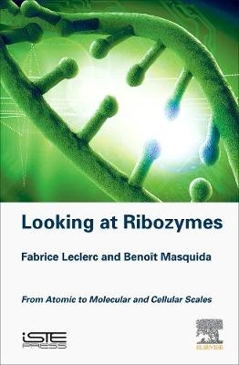 Looking at Ribozymes - Fabrice Leclerc, Benoit Masquida