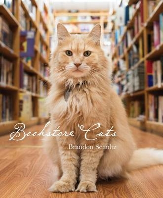 Bookstore Cats - Brandon Schultz