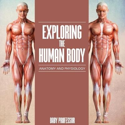 Exploring the Human Body Anatomy and Physiology -  Baby Professor