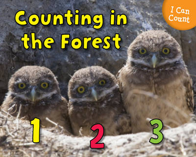 Counting in the Forest - Rebecca Rissman