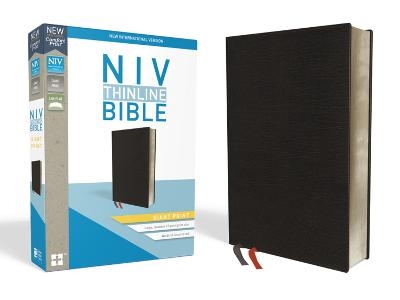 NIV, Thinline Bible, Giant Print, Bonded Leather, Black, Red Letter, Thumb Indexed, Comfort Print -  Zondervan